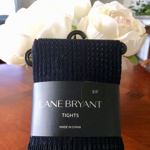 Sassy & Classy Fishnet Tights